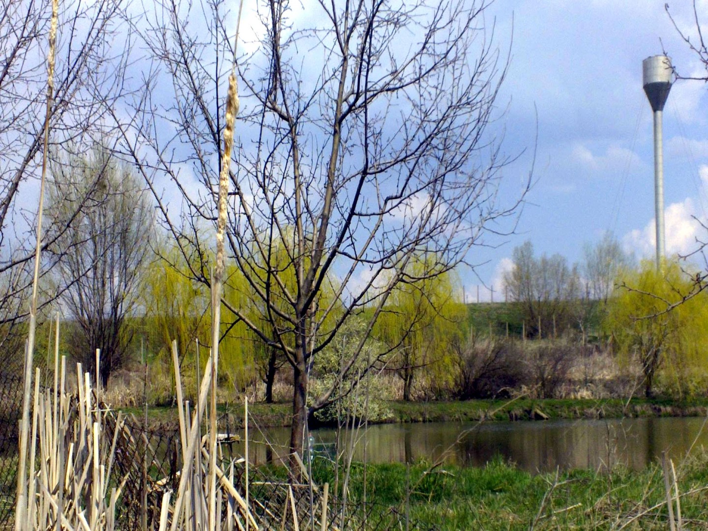 Край с. Григорево