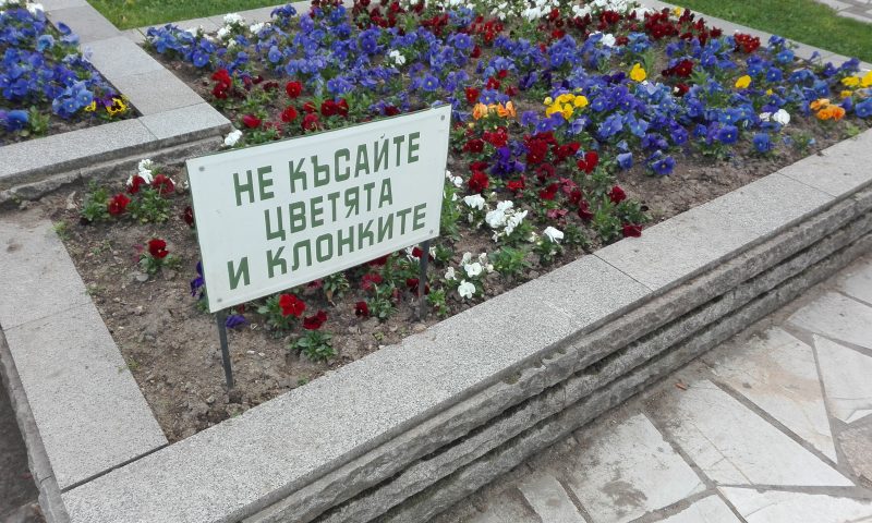 До края на седмицата – студ, дъжд, сняг