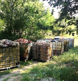 Наглост-тонове карантия изхвърлени близо до разклона за Крушовица